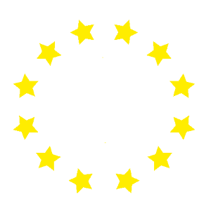salutini logo
